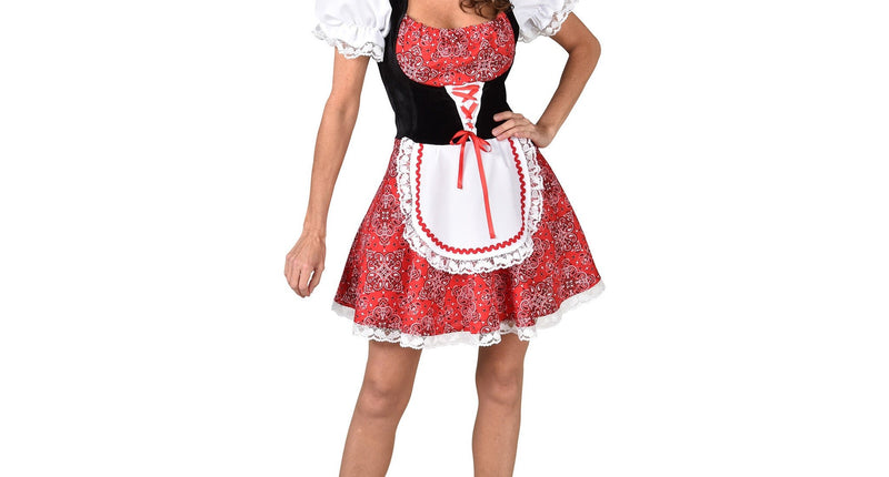 E-Carnavalskleding.nl Dirndl jurkje Nederlandse stijl