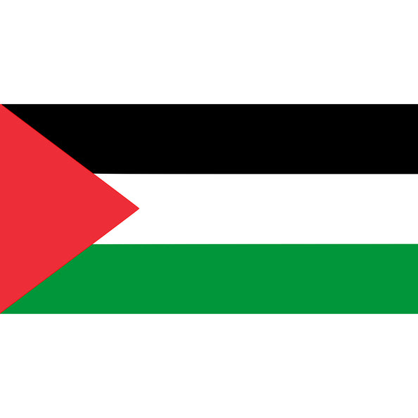 e-carnavalskleding-SYK Vlag Palestina 90x150cm